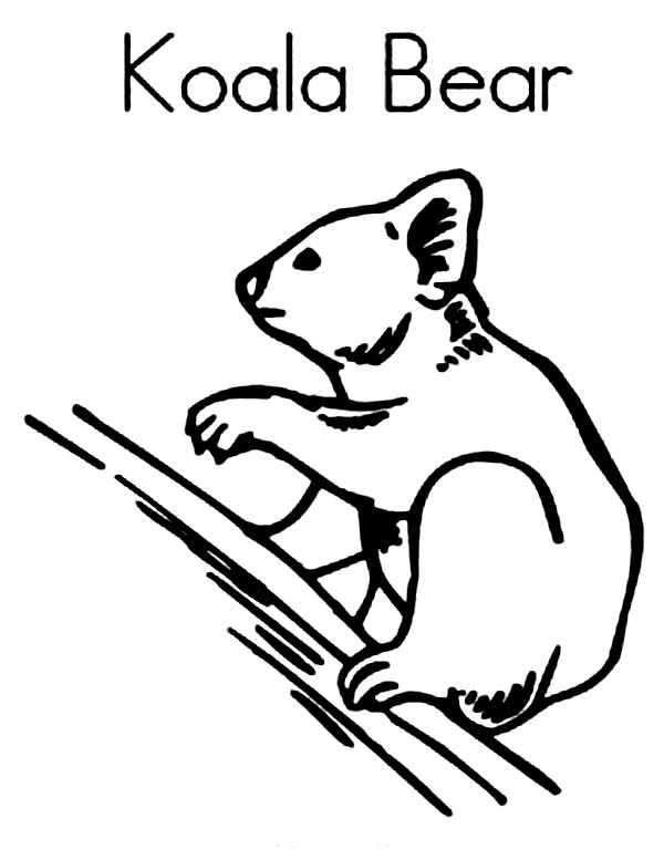 Malvorlage: Koala (Tiere) #9444 - Kostenlose Malvorlagen zum Ausdrucken