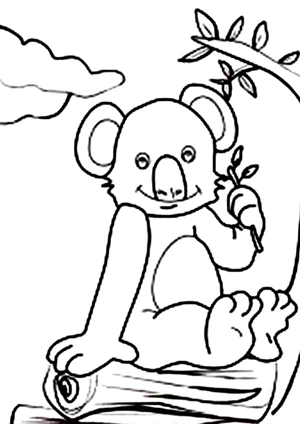 Malvorlage: Koala (Tiere) #9461 - Kostenlose Malvorlagen zum Ausdrucken