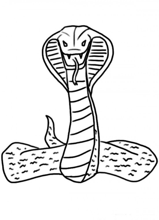 Malvorlage: Kobra (Tiere) #3228 - Kostenlose Malvorlagen zum Ausdrucken