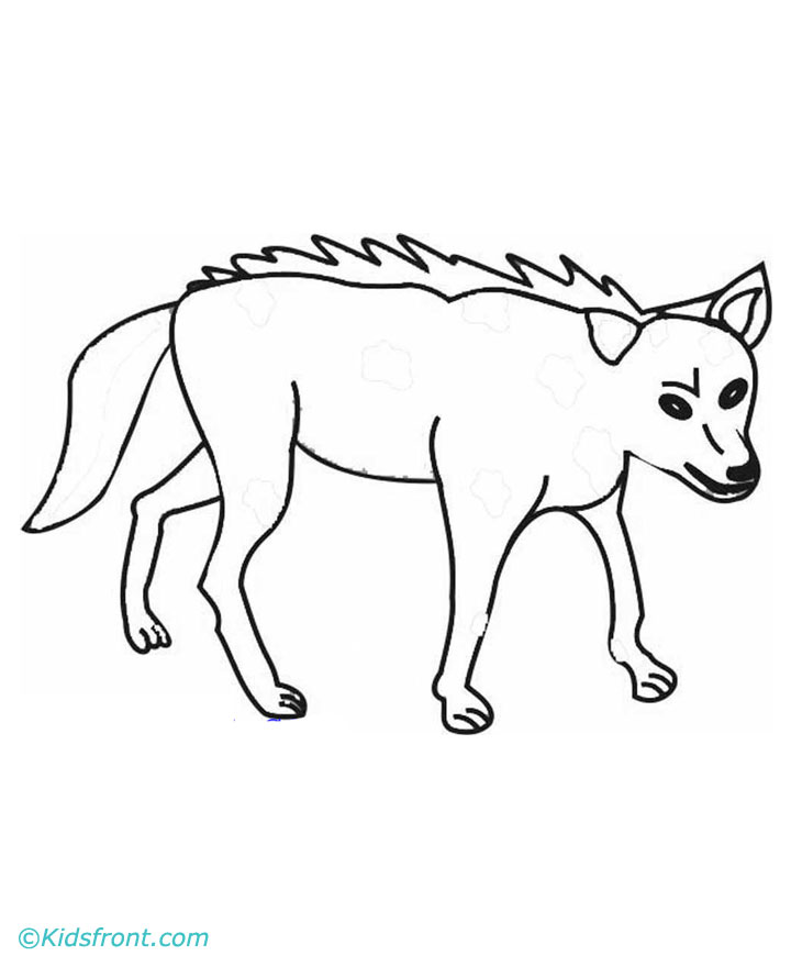 Malvorlage: Kojote (Tiere) #4513 - Kostenlose Malvorlagen zum Ausdrucken
