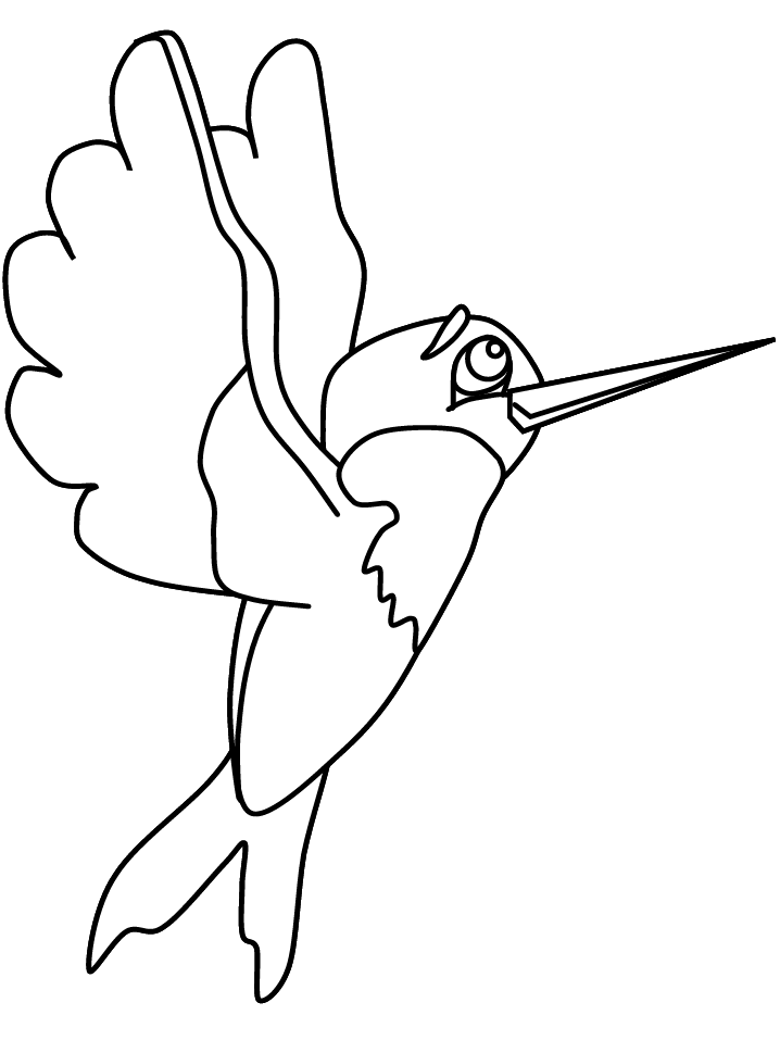 Malvorlage: Kolibri (Tiere) #3810 - Kostenlose Malvorlagen zum Ausdrucken