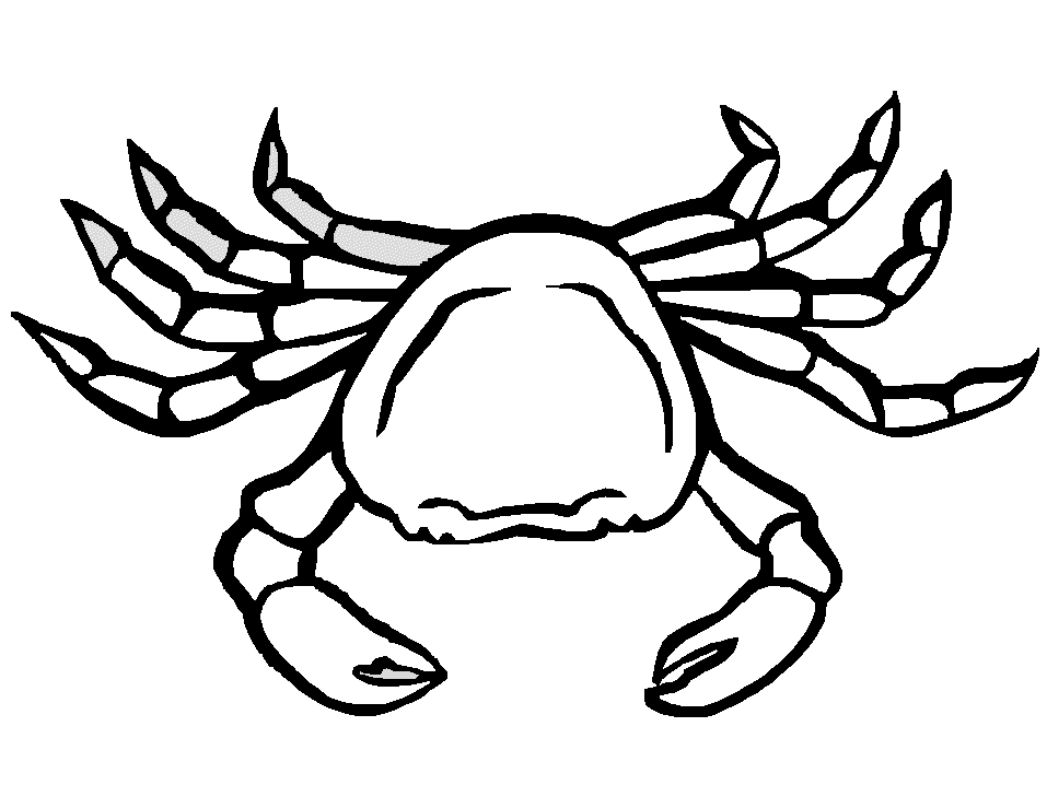 Malvorlage: Krabbe (Tiere) #4579 - Kostenlose Malvorlagen zum Ausdrucken