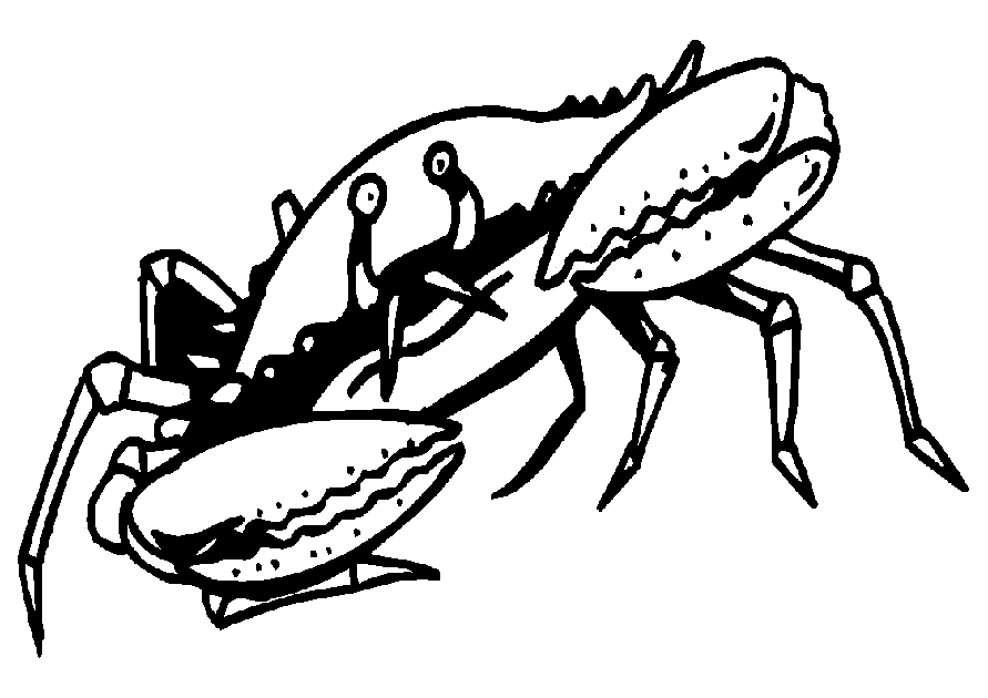 Malvorlage: Krabbe (Tiere) #4602 - Kostenlose Malvorlagen zum Ausdrucken