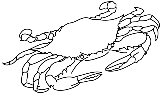 Malvorlage: Krabbe (Tiere) #4622 - Kostenlose Malvorlagen zum Ausdrucken