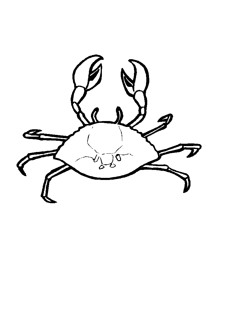 Malvorlage: Krabbe (Tiere) #4628 - Kostenlose Malvorlagen zum Ausdrucken