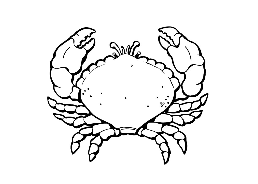 Malvorlage: Krabbe (Tiere) #4629 - Kostenlose Malvorlagen zum Ausdrucken