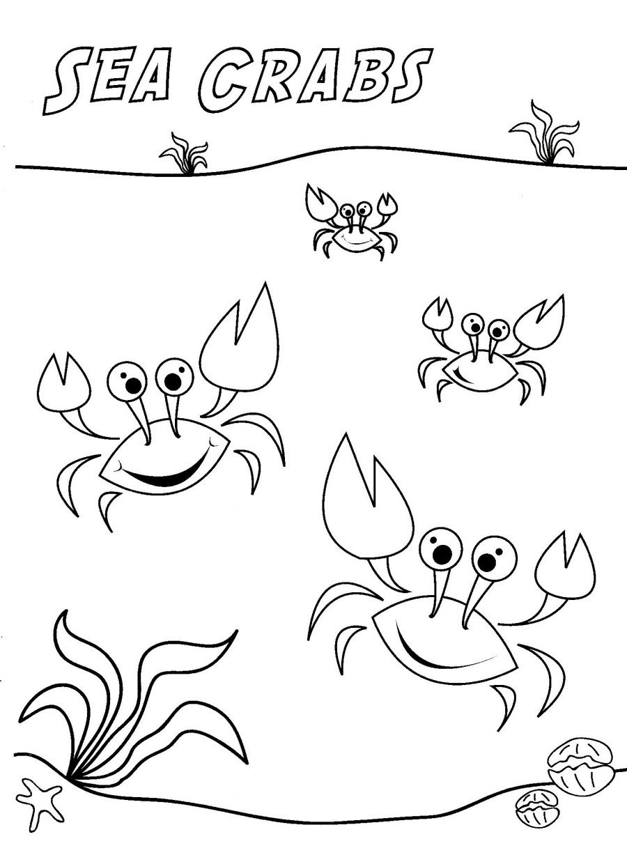 Malvorlage: Krabbe (Tiere) #4645 - Kostenlose Malvorlagen zum Ausdrucken