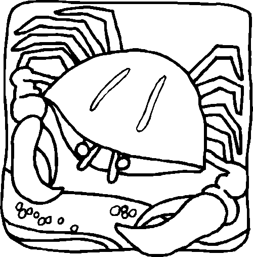 Malvorlage: Krabbe (Tiere) #4666 - Kostenlose Malvorlagen zum Ausdrucken