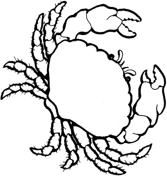 Malvorlage: Krabbe (Tiere) #4670 - Kostenlose Malvorlagen zum Ausdrucken