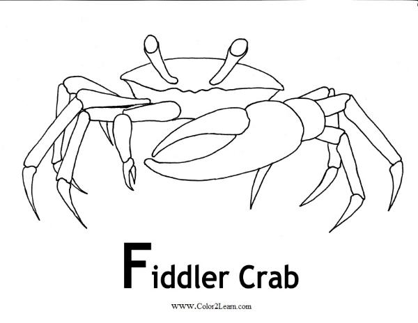 Malvorlage: Krabbe (Tiere) #4686 - Kostenlose Malvorlagen zum Ausdrucken