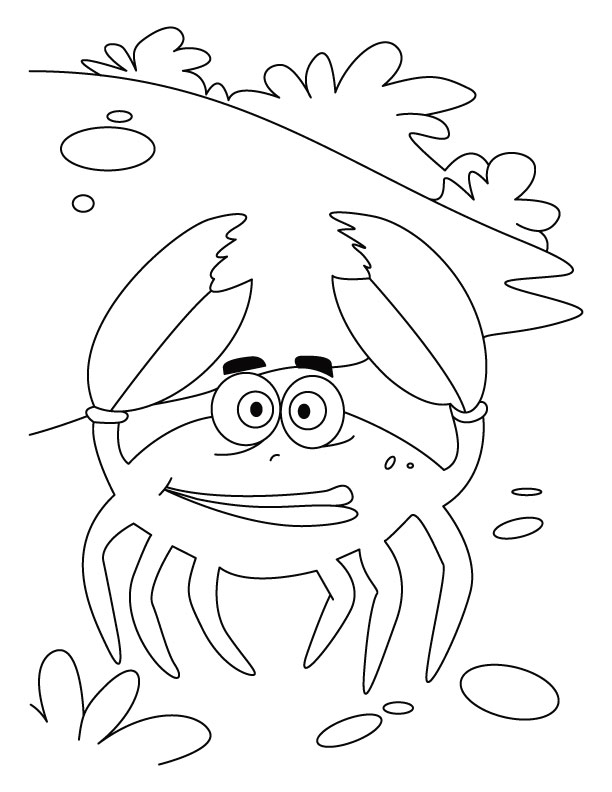 Malvorlage: Krabbe (Tiere) #4690 - Kostenlose Malvorlagen zum Ausdrucken