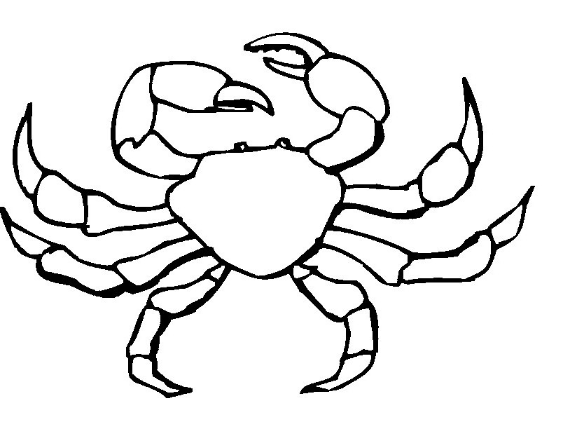 Malvorlage: Krabbe (Tiere) #4691 - Kostenlose Malvorlagen zum Ausdrucken