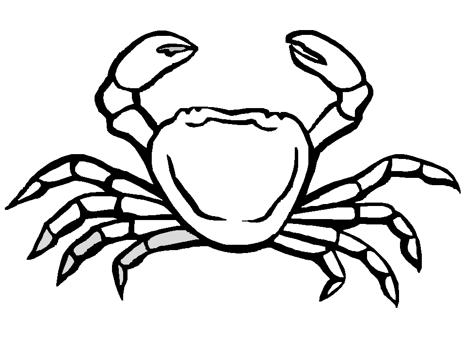 Malvorlage: Krabbe (Tiere) #4747 - Kostenlose Malvorlagen zum Ausdrucken
