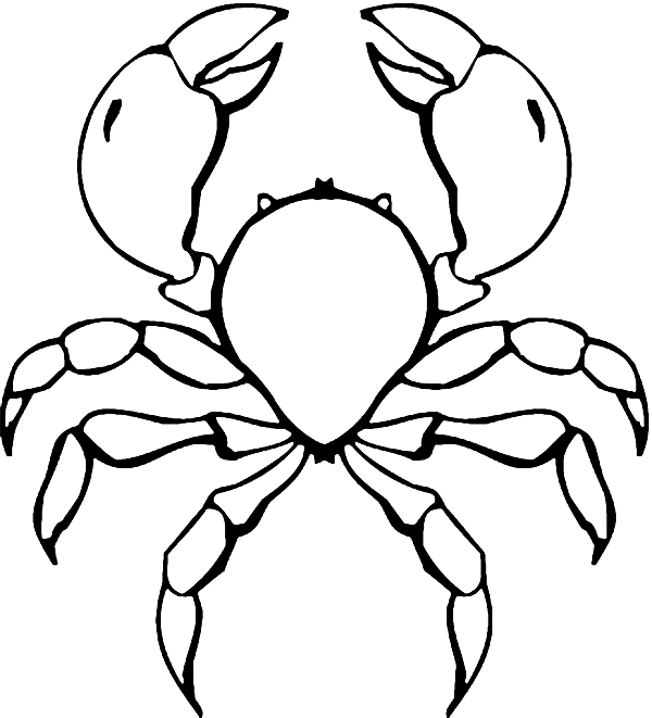 Malvorlage: Krabbe (Tiere) #4754 - Kostenlose Malvorlagen zum Ausdrucken