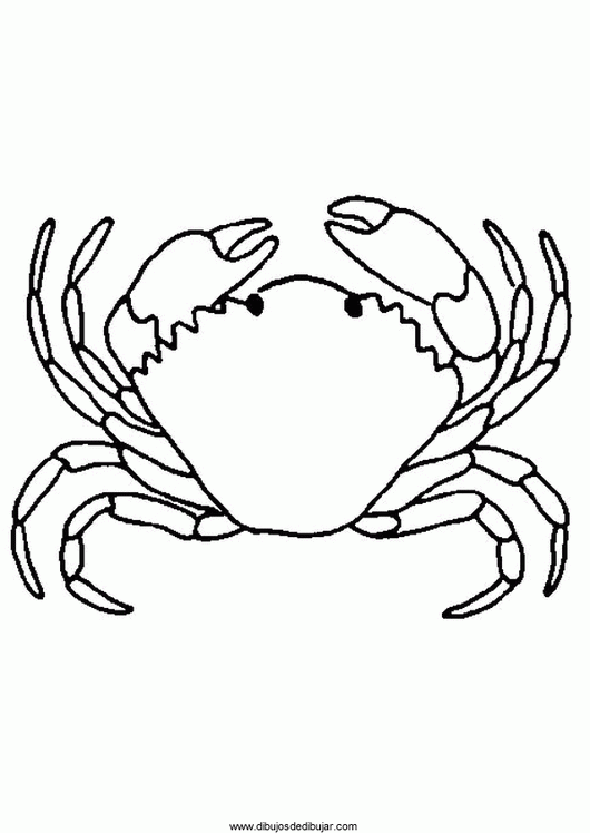 Malvorlage: Krabbe (Tiere) #4759 - Kostenlose Malvorlagen zum Ausdrucken