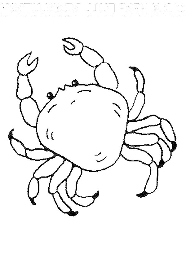 Malvorlage: Krabbe (Tiere) #4777 - Kostenlose Malvorlagen zum Ausdrucken