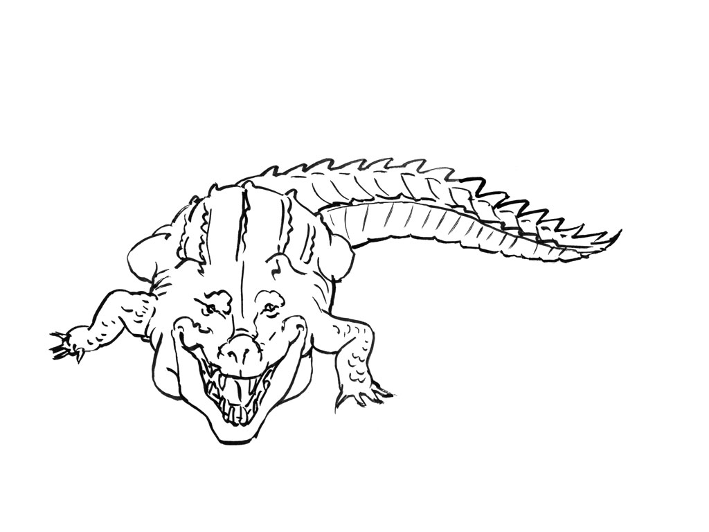 Malvorlage: Krokodil (Tiere) #4876 - Kostenlose Malvorlagen zum Ausdrucken