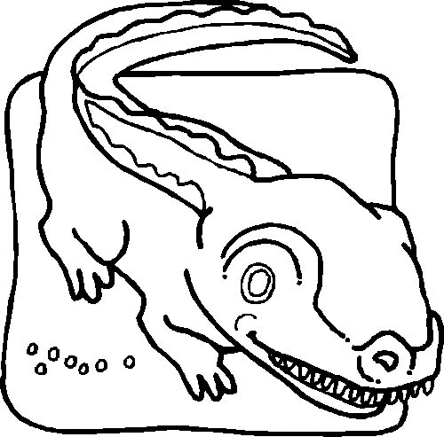 Malvorlage: Krokodil (Tiere) #4901 - Kostenlose Malvorlagen zum Ausdrucken