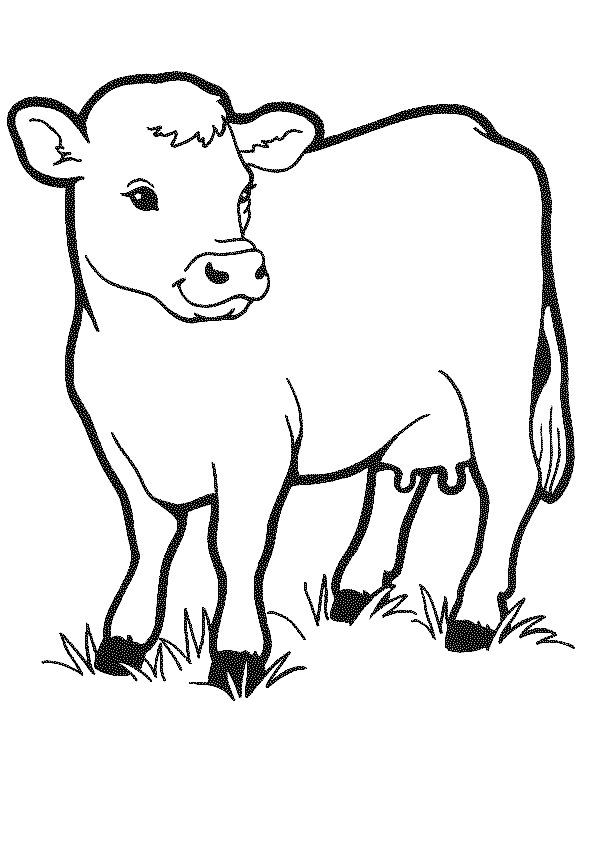Malvorlage: Kuh (Tiere) #13189 - Kostenlose Malvorlagen zum Ausdrucken
