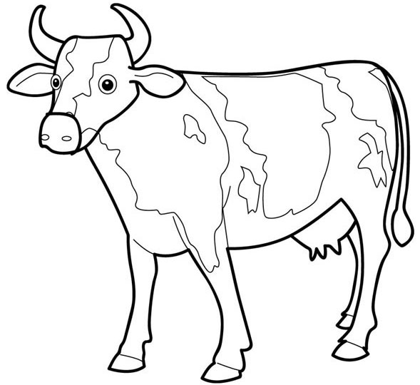 Malvorlage: Kuh (Tiere) #13190 - Kostenlose Malvorlagen zum Ausdrucken