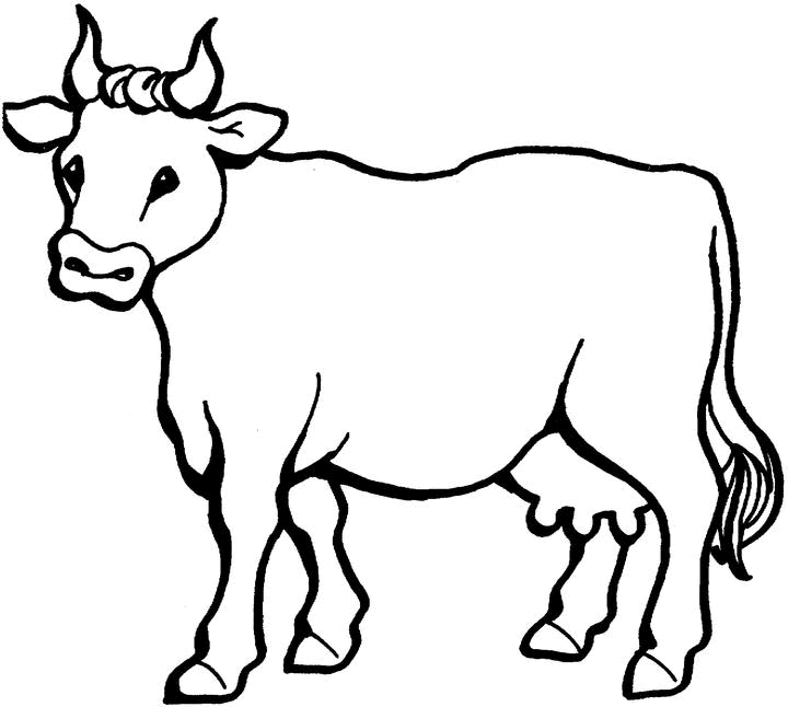 Malvorlage: Kuh (Tiere) #13195 - Kostenlose Malvorlagen zum Ausdrucken