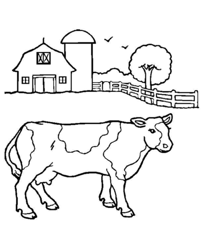 Malvorlage: Kuh (Tiere) #13202 - Kostenlose Malvorlagen zum Ausdrucken
