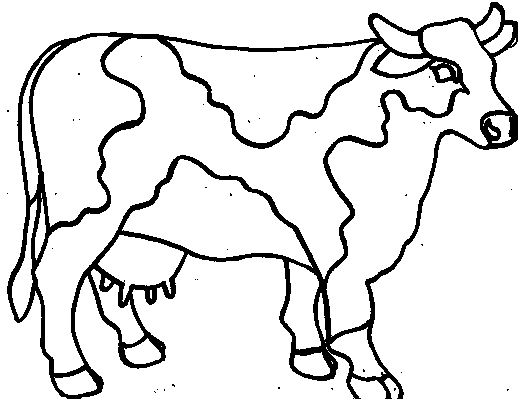 Malvorlage: Kuh (Tiere) #13208 - Kostenlose Malvorlagen zum Ausdrucken