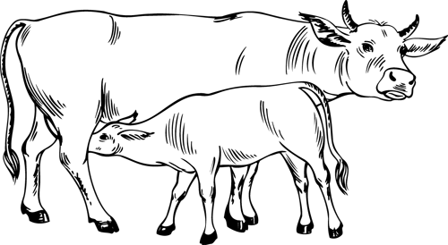 Malvorlage: Kuh (Tiere) #13210 - Kostenlose Malvorlagen zum Ausdrucken