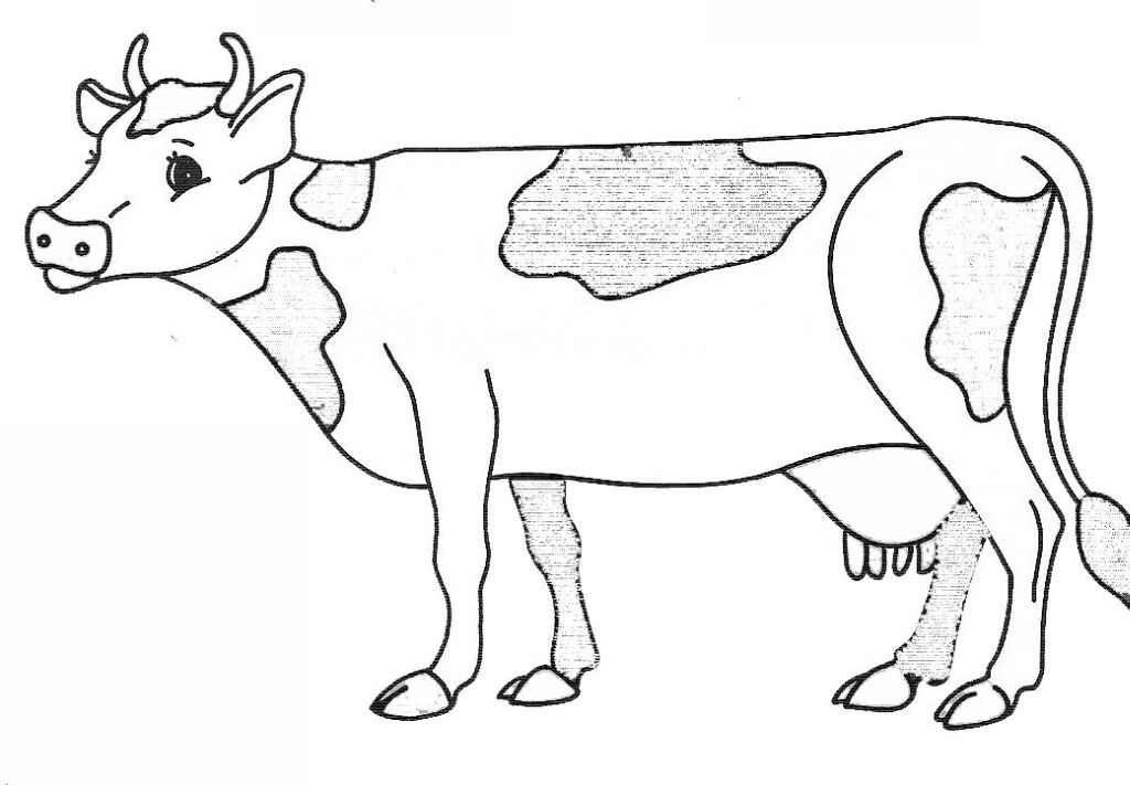 Malvorlage: Kuh (Tiere) #13227 - Kostenlose Malvorlagen zum Ausdrucken