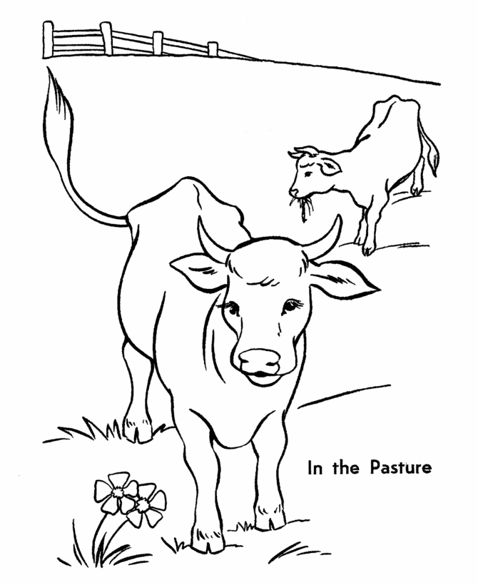 Malvorlage: Kuh (Tiere) #13229 - Kostenlose Malvorlagen zum Ausdrucken