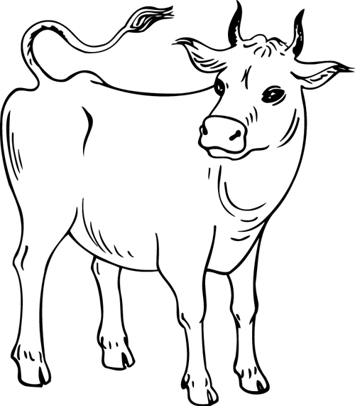 Malvorlage: Kuh (Tiere) #13248 - Kostenlose Malvorlagen zum Ausdrucken