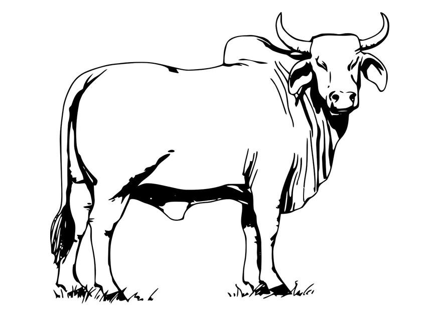 Malvorlage: Kuh (Tiere) #13260 - Kostenlose Malvorlagen zum Ausdrucken