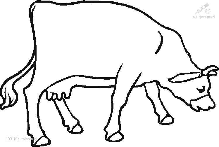 Malvorlage: Kuh (Tiere) #13291 - Kostenlose Malvorlagen zum Ausdrucken