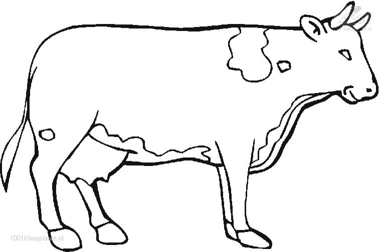 Malvorlage: Kuh (Tiere) #13319 - Kostenlose Malvorlagen zum Ausdrucken