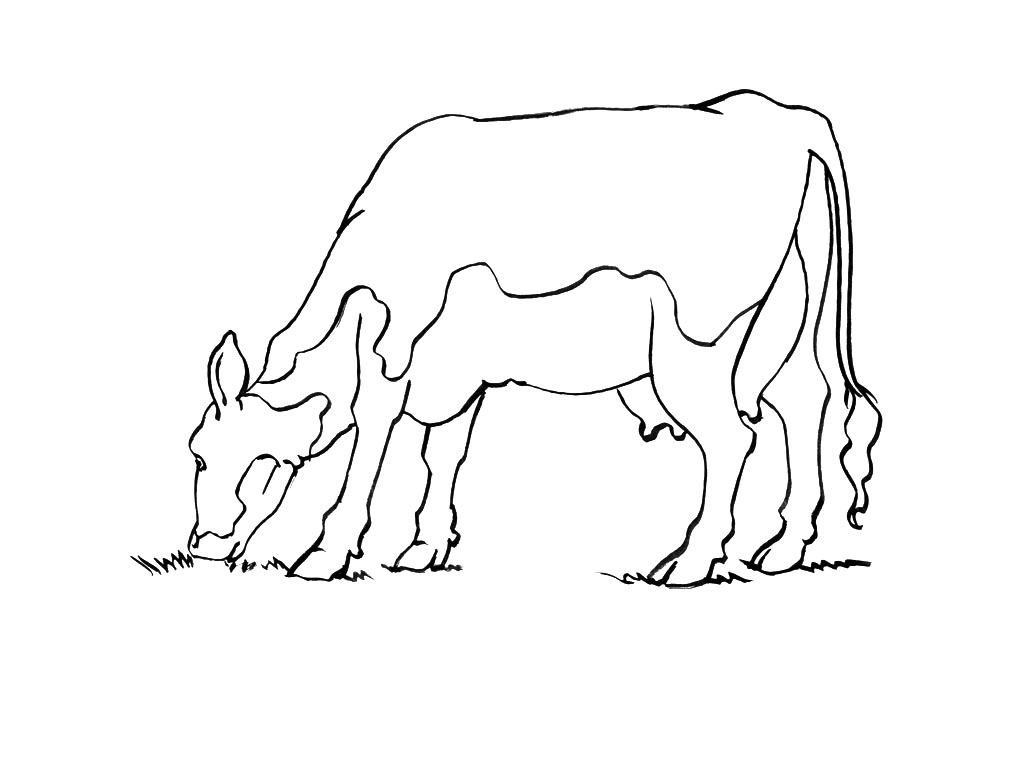 Malvorlage: Kuh (Tiere) #13347 - Kostenlose Malvorlagen zum Ausdrucken