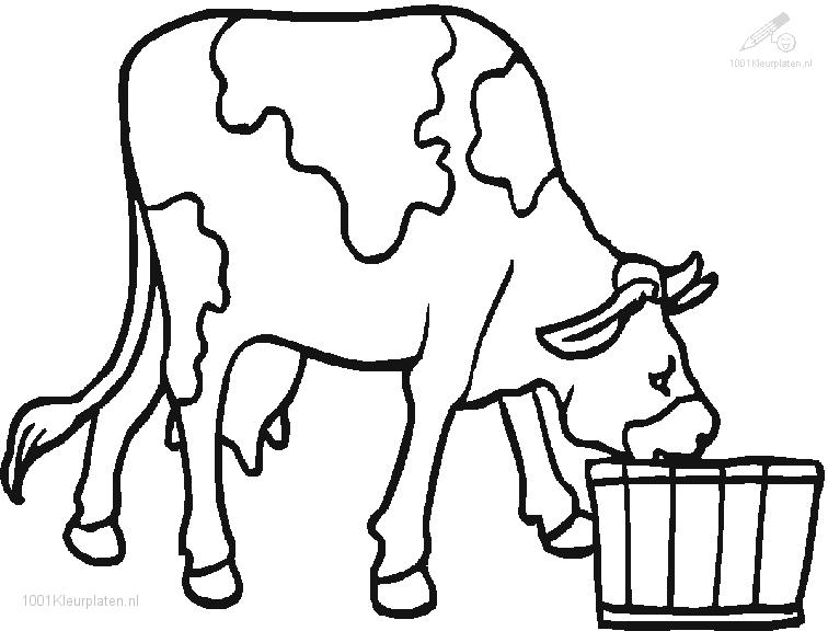 Malvorlage: Kuh (Tiere) #13352 - Kostenlose Malvorlagen zum Ausdrucken