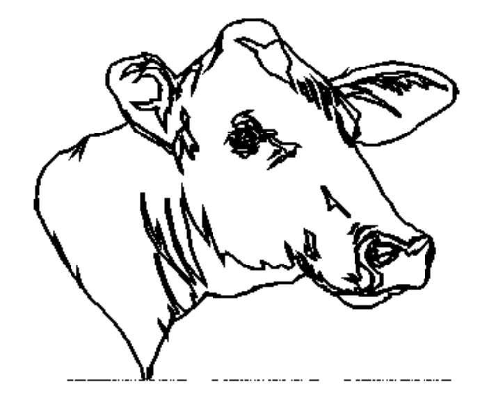 Malvorlage: Kuh (Tiere) #13380 - Kostenlose Malvorlagen zum Ausdrucken