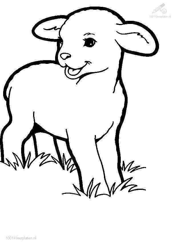 Malvorlage: Lamm (Tiere) #178 - Kostenlose Malvorlagen zum Ausdrucken