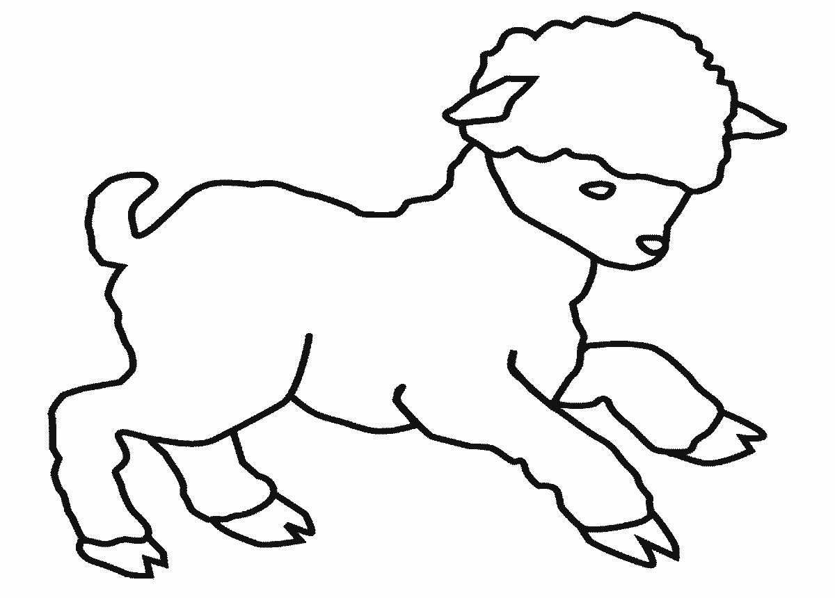 Malvorlage: Lamm (Tiere) #182 - Kostenlose Malvorlagen zum Ausdrucken