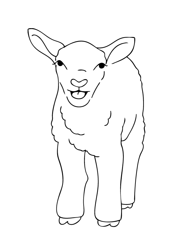 Malvorlage: Lamm (Tiere) #216 - Kostenlose Malvorlagen zum Ausdrucken