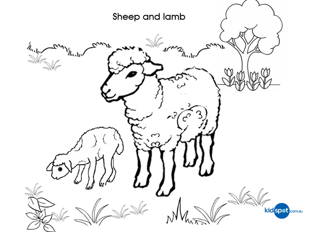 Malvorlage: Lamm (Tiere) #225 - Kostenlose Malvorlagen zum Ausdrucken