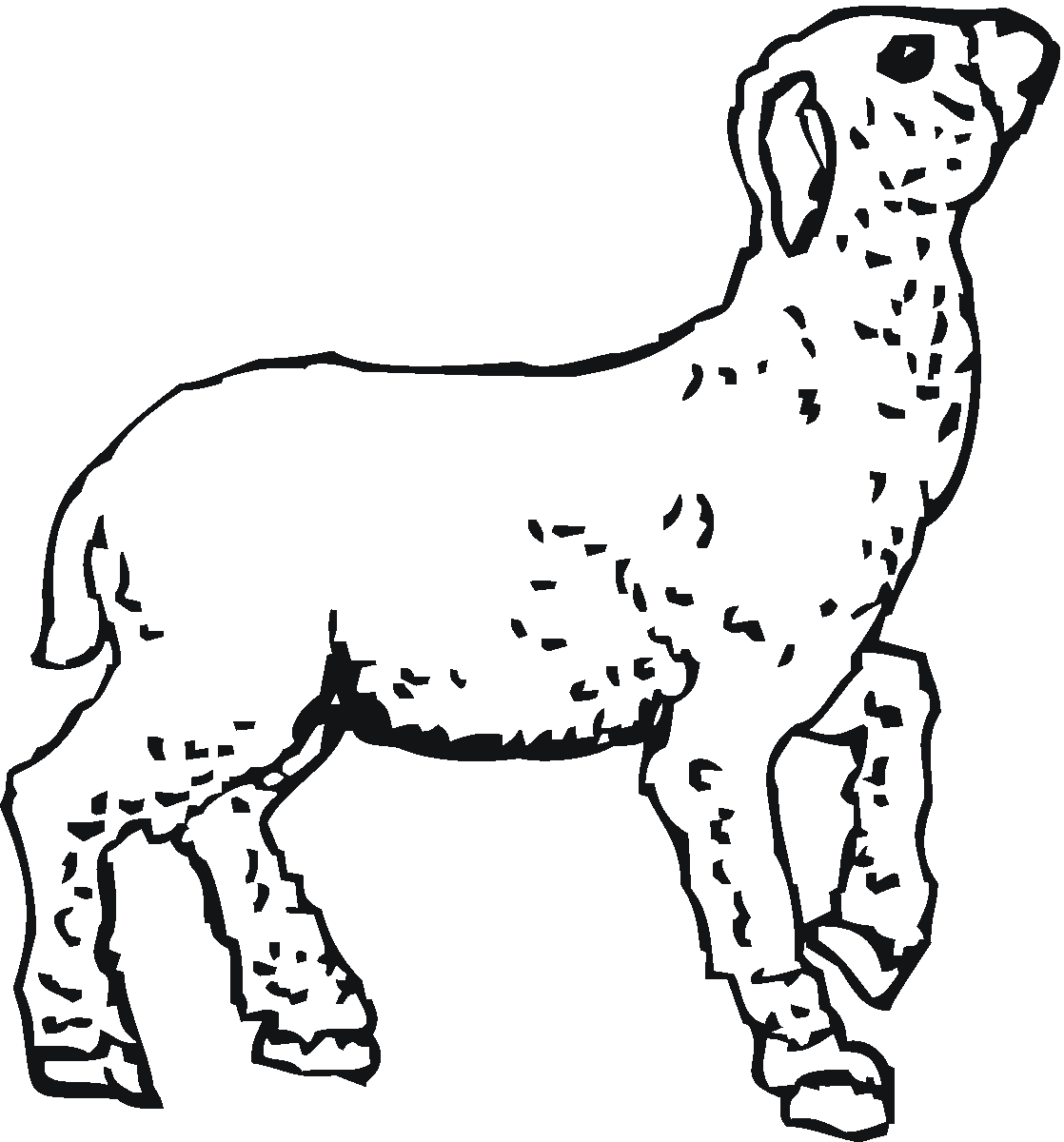 Malvorlage: Lamm (Tiere) #250 - Kostenlose Malvorlagen zum Ausdrucken