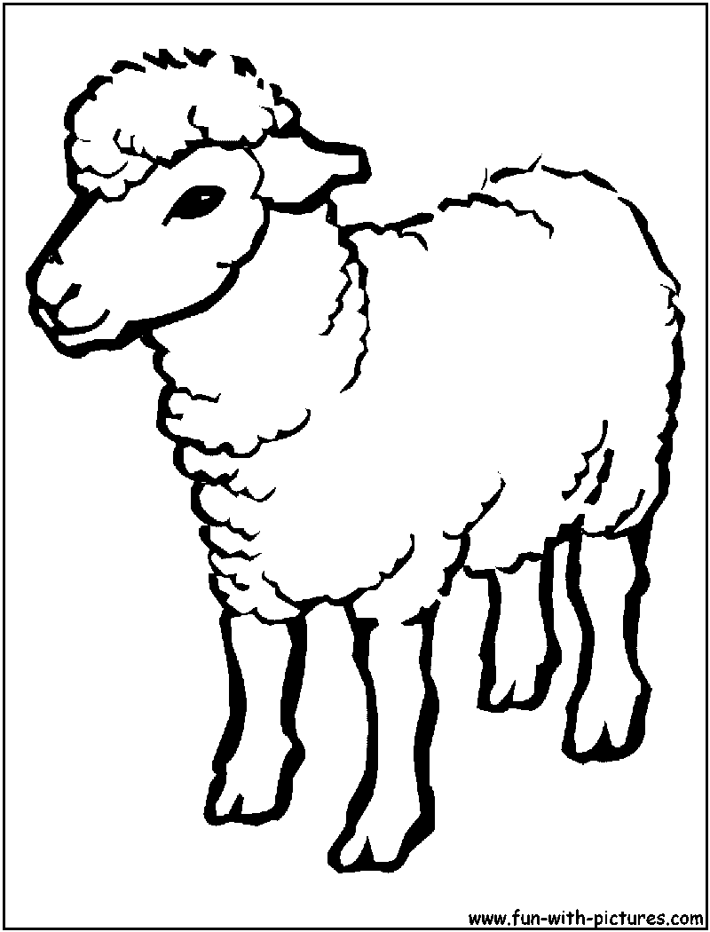Malvorlage: Lamm (Tiere) #272 - Kostenlose Malvorlagen zum Ausdrucken