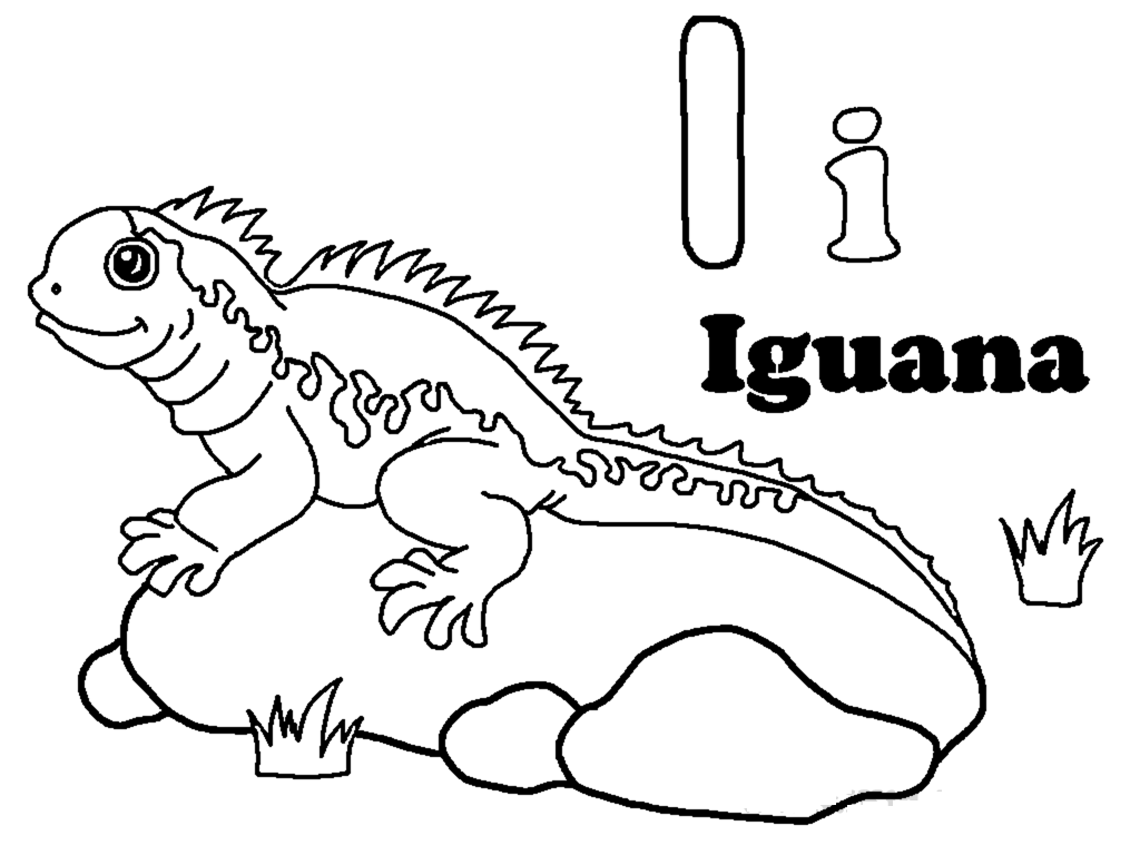 Malvorlage: Leguan (Tiere) #8984 - Kostenlose Malvorlagen zum Ausdrucken
