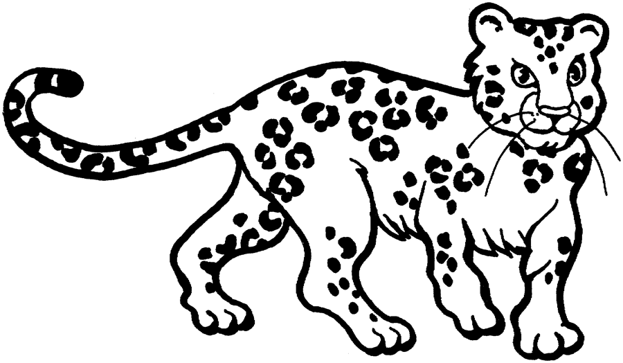 Malvorlage: Leopard (Tiere) #9706 - Kostenlose Malvorlagen zum Ausdrucken
