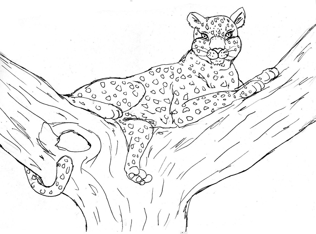 Malvorlage: Leopard (Tiere) #9722 - Kostenlose Malvorlagen zum Ausdrucken