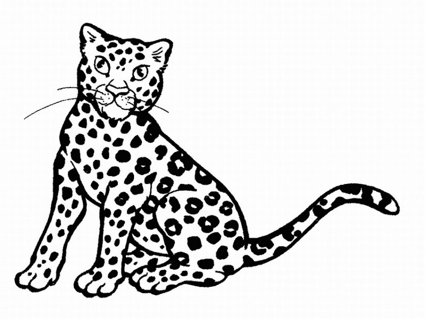 Malvorlage: Leopard (Tiere) #9735 - Kostenlose Malvorlagen zum Ausdrucken