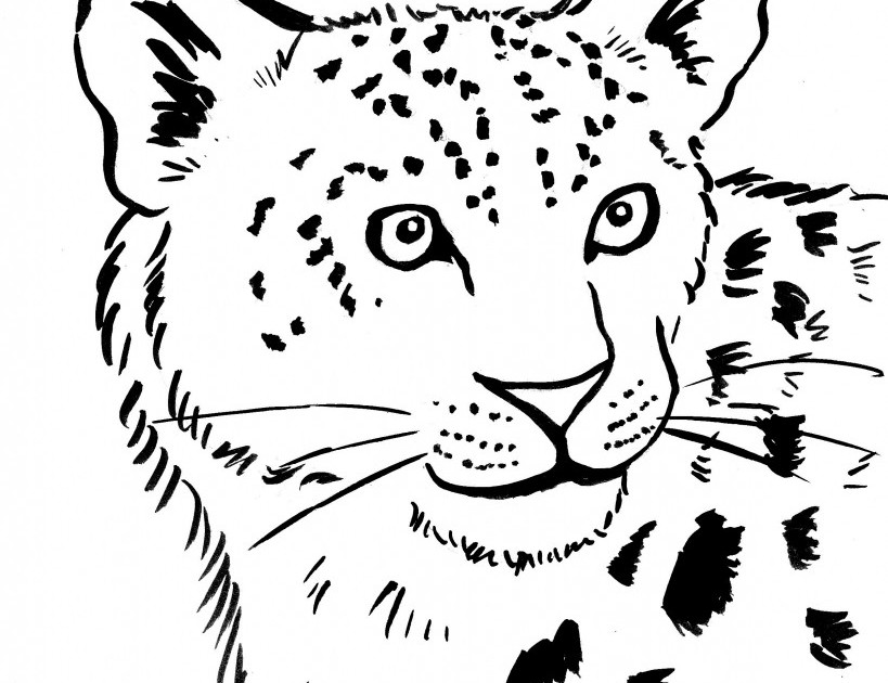 Malvorlage: Leopard (Tiere) #9759 - Kostenlose Malvorlagen zum Ausdrucken