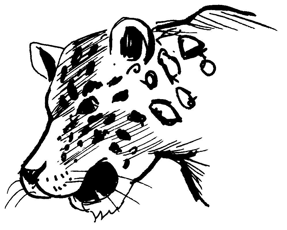 Malvorlage: Leopard (Tiere) #9807 - Kostenlose Malvorlagen zum Ausdrucken