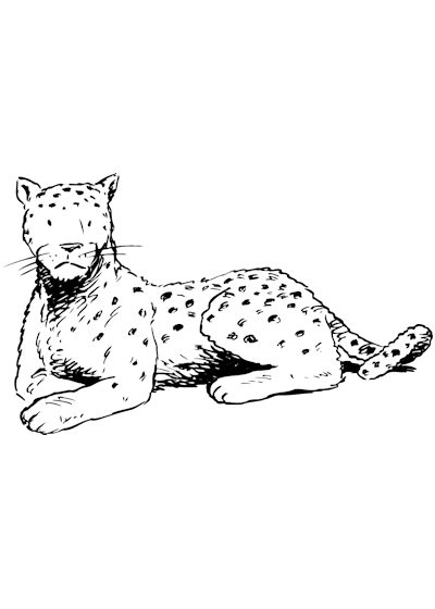 Malvorlage: Leopard (Tiere) #9835 - Kostenlose Malvorlagen zum Ausdrucken